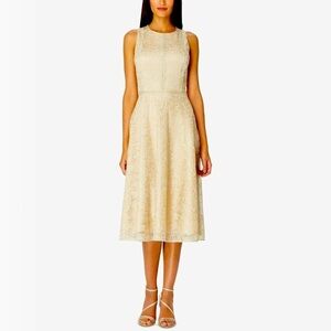 Tahari ASL Champagne Gold Lace Midi Cocktail Dress